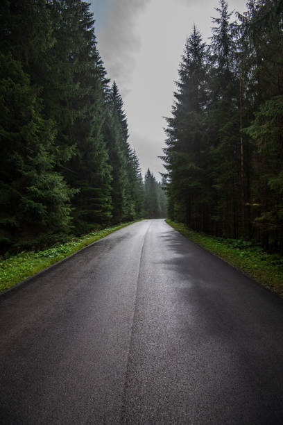 istock wavy asphalt road in mountain area in forest 1098436776