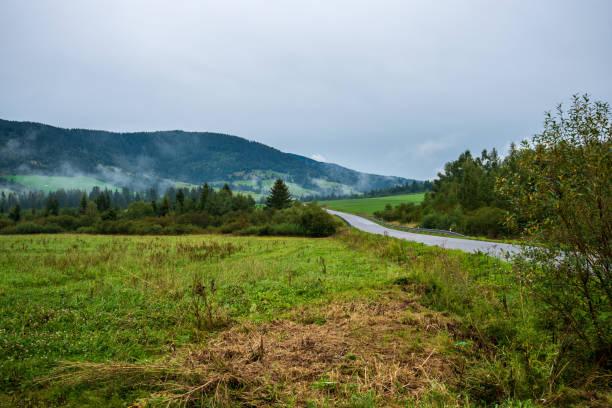 istock wavy asphalt road in mountain area in forest 1098436782