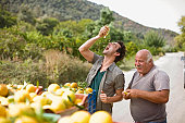 Men squashing oranges