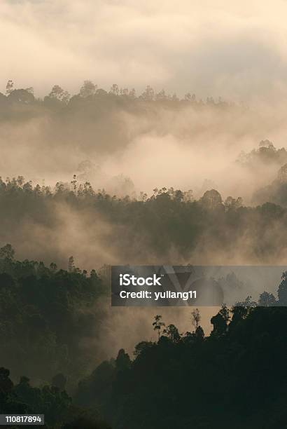 早朝霧のかかった森 - かすみのストックフォトや画像を多数ご用意 - かすみ, カラー画像, マレーシア