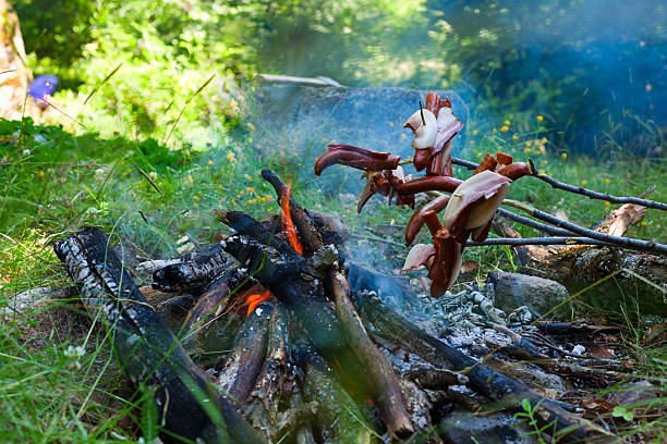 Barbecue in nature stock photo