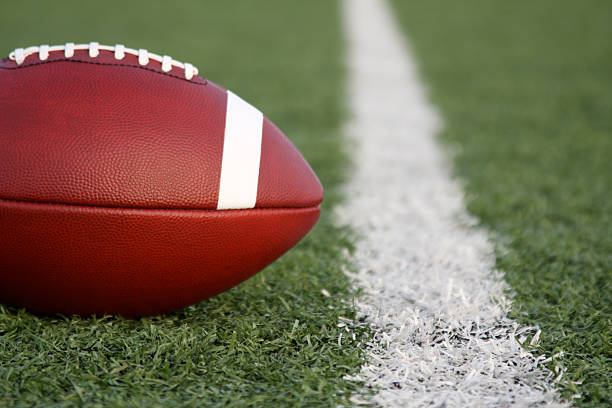 istock Football on the Field 110849671