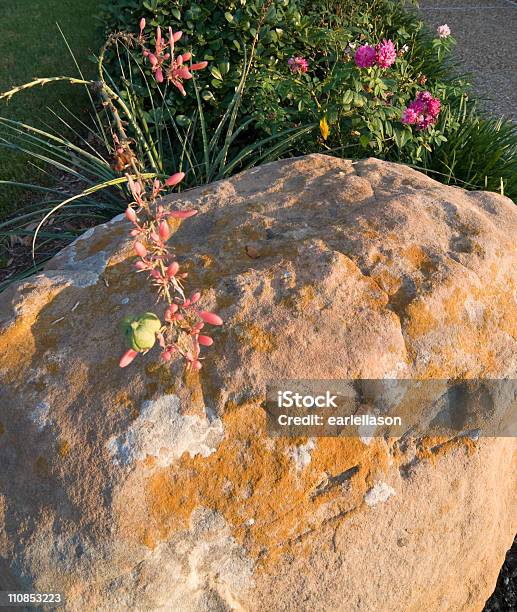 Roccia Solida - Fotografie stock e altre immagini di Round Rock - Round Rock, Texas, Ambientazione esterna