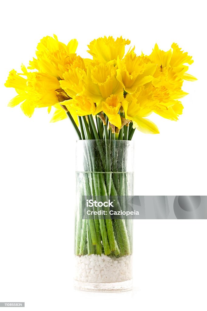 Jonquille tas - Photo de Bouquet de fleurs libre de droits
