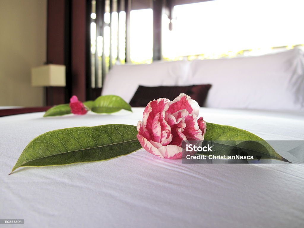 Letto di petali di rose - Foto stock royalty-free di Albergo