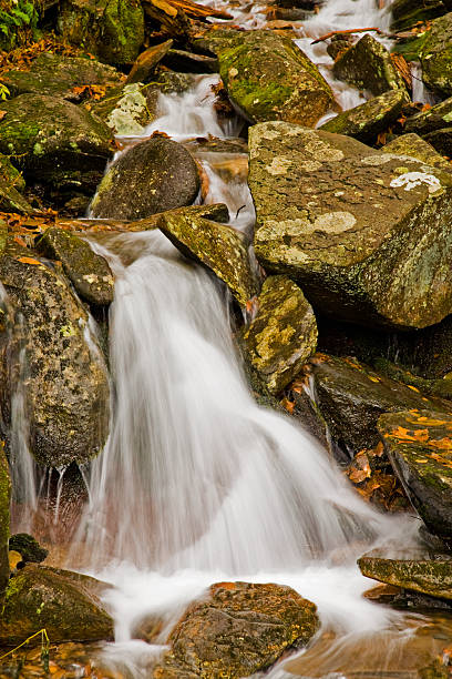 stream, great smoky mountains np - south highlands stock-fotos und bilder