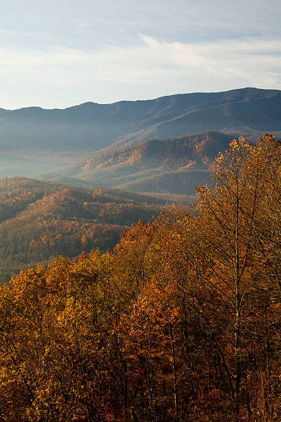 herbst, foothills parkway - south highlands stock-fotos und bilder