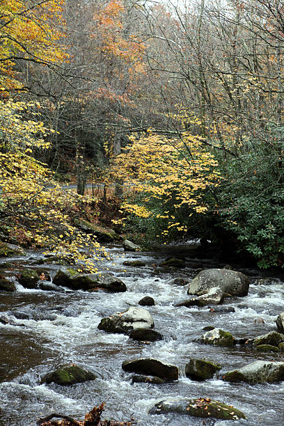 горная река - north carolina mountain river autumn стоковые фото и изображения