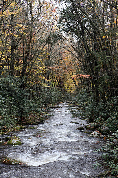 огромный река smokey mountain - north carolina mountain river autumn стоковые фото и изображения