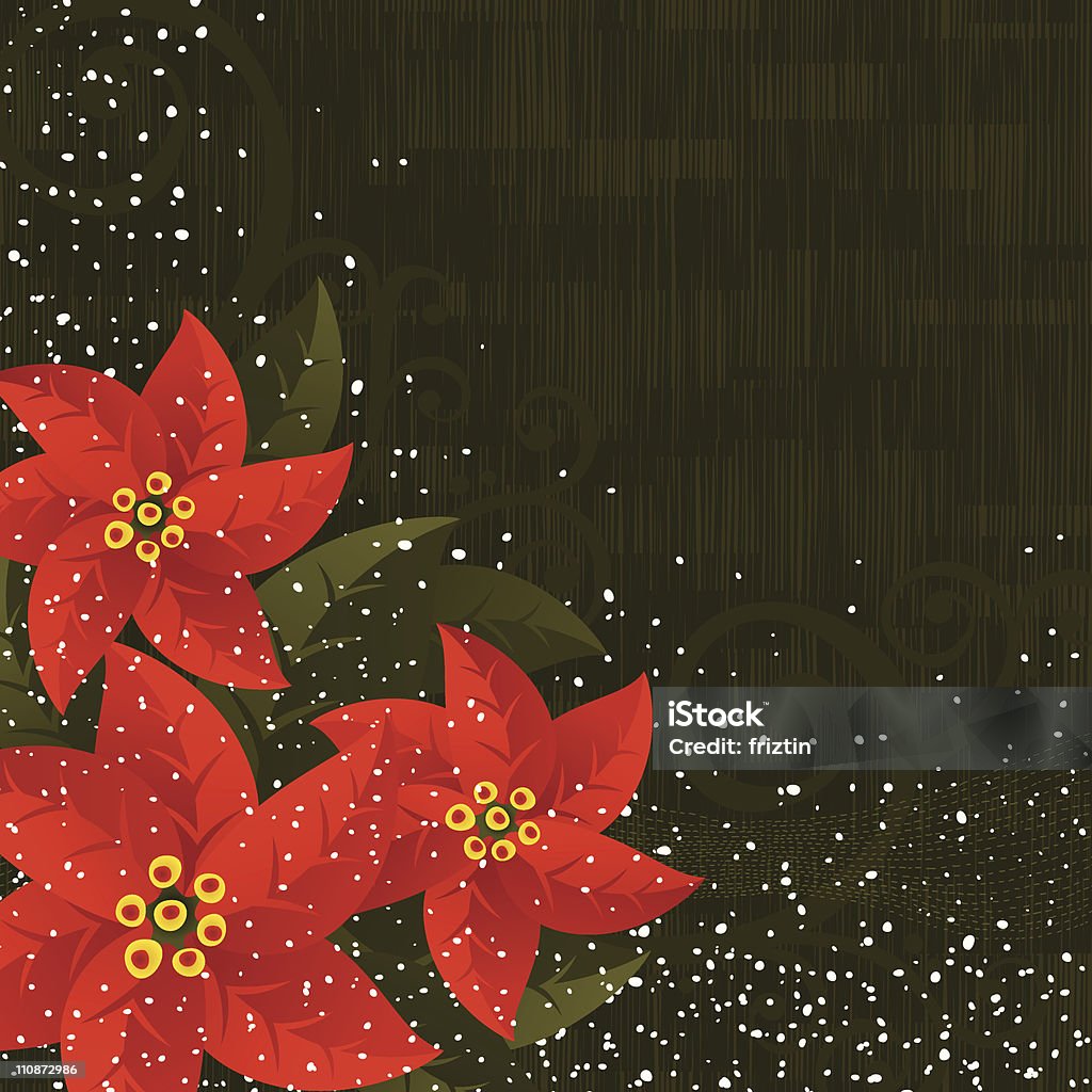 Weihnachten Poinsettias Hintergrund - Lizenzfrei Weihnachtsstern Vektorgrafik