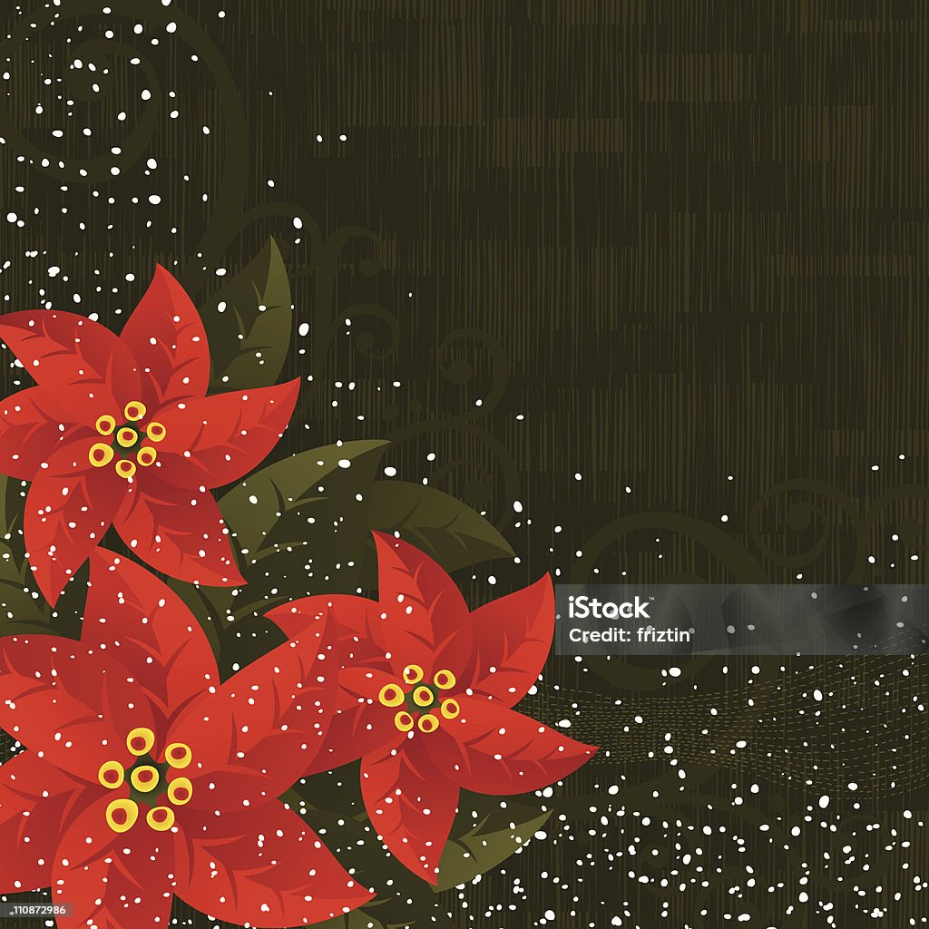 Fondo de navidad-Poinsettias - arte vectorial de Flor de Pascua libre de derechos