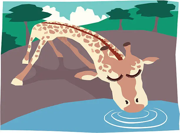 Vector illustration of Giraffe drinking