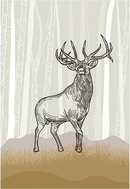 Elk in the Grasslands Forest vector art illustration