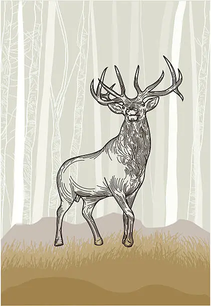 Vector illustration of Elk in the Grasslands Forest