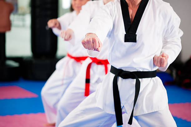 istock Martial Arts sport training in gym 110875844