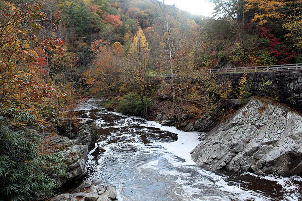 горная река мост - north carolina mountain river autumn стоковые фото и изображения
