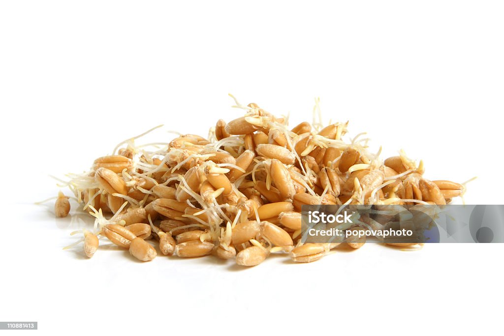 Пшеница микробов - Стоковые фото Пшеница роялти-фри