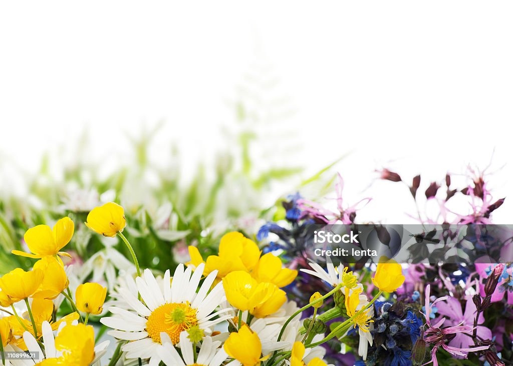 Kwiaty - Zbiór zdjęć royalty-free (Aranżacja)
