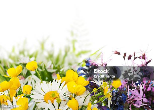 Kwiaty - zdjęcia stockowe i więcej obrazów Aranżacja - Aranżacja, Bez ludzi, Białe tło