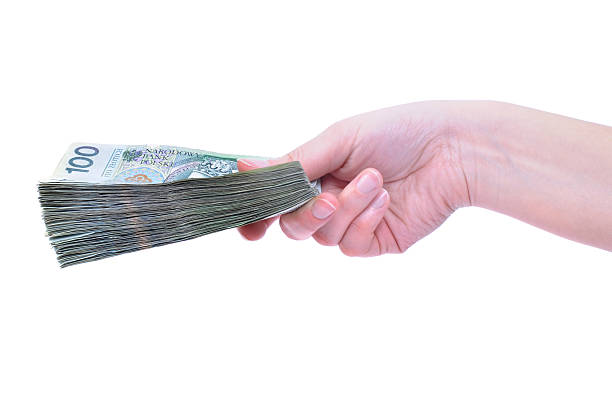 istock polish banknotes in hand (PLN) isolated on white background 110903957