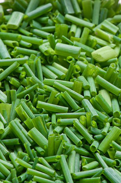 Chives - Schnittlauch  schnittlauch stock pictures, royalty-free photos & images