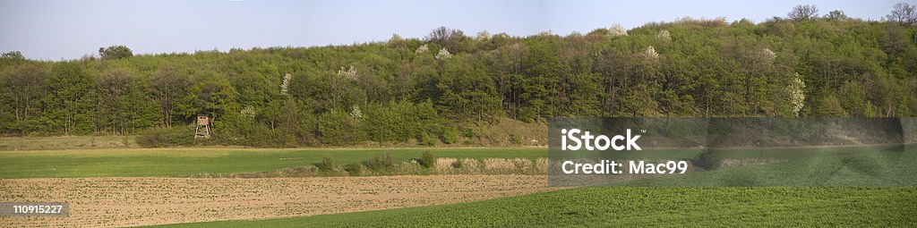 Spring Panorama  Agricultural Field Stock Photo