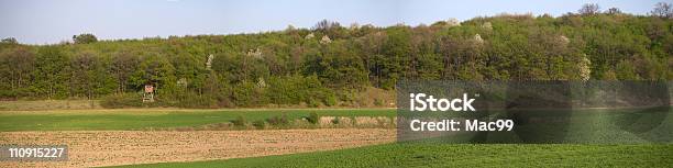 Spring Panorama Stock Photo - Download Image Now - Agricultural Field, Agriculture, Austria