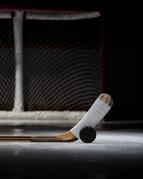 istock Hockey Puck, Stick, and Net 110917525