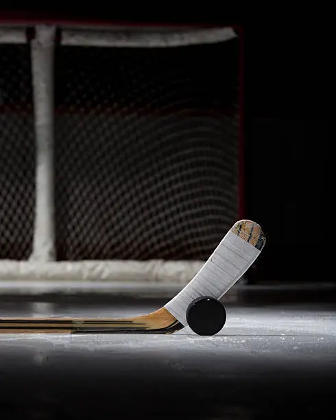 Photo of Hockey Puck, Stick, and Net