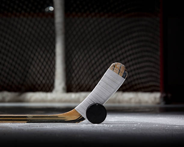istock Hockey Puck, Stick, and Net (landscape) 110917528