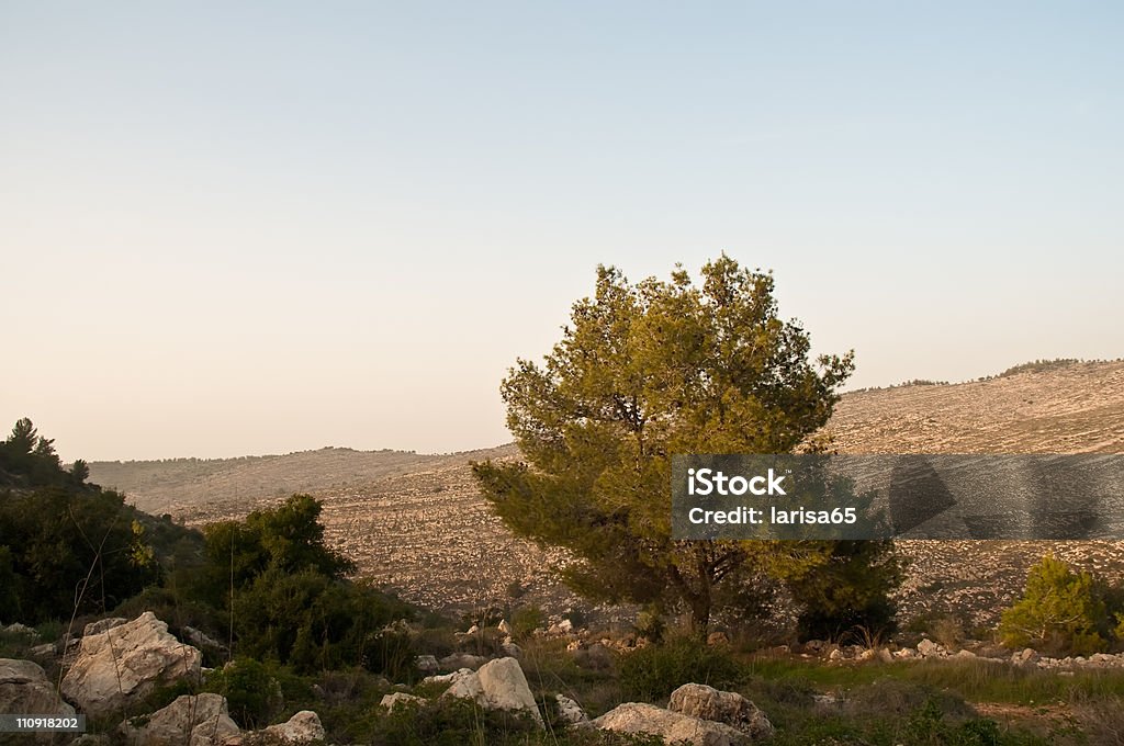 Israele inverno. - Foto stock royalty-free di Ambientazione esterna