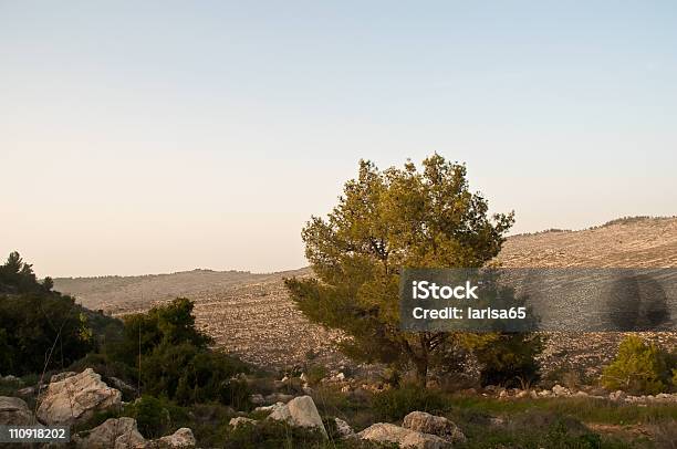 Israele Inverno - Fotografie stock e altre immagini di Ambientazione esterna - Ambientazione esterna, Capitali internazionali, Catena di montagne