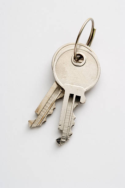 istock Isolated shot of two keys with keyring on white background 110918557