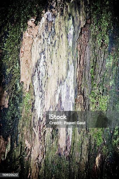 Baumrinde Stockfoto und mehr Bilder von Abstrakt - Abstrakt, Bauholz, Baum