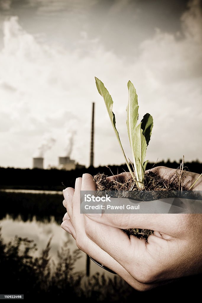 Osoba przytrzymanie Roślina Rozsada z fabryki w tle - Zbiór zdjęć royalty-free (Dwutlenek węgla)
