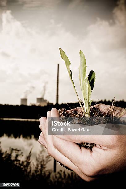 Osoba Przytrzymanie Roślina Rozsada Z Fabryki W Tle - zdjęcia stockowe i więcej obrazów Dwutlenek węgla