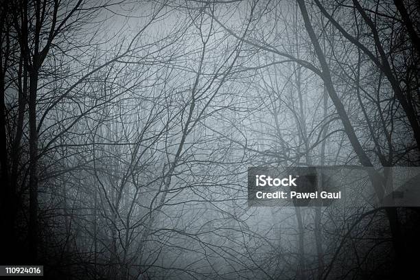 Las Z Mgłą - zdjęcia stockowe i więcej obrazów Bez ludzi - Bez ludzi, Ciemny, Cień