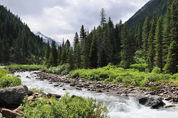 istock Krimml Achental in Austria 110928611