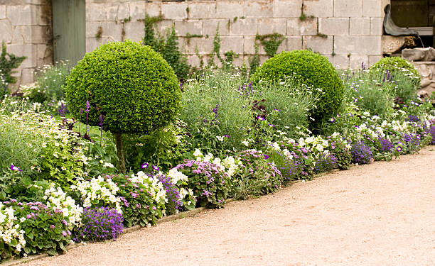 Flower bed stock photo