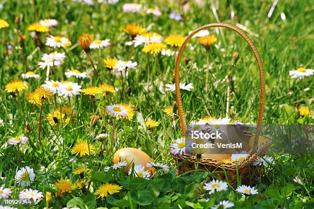 Cesto Di Uova Di Pasqua Dorata - Fotografie stock e altre immagini di Ambientazione esterna - Ambientazione esterna, Brillante, Cestino