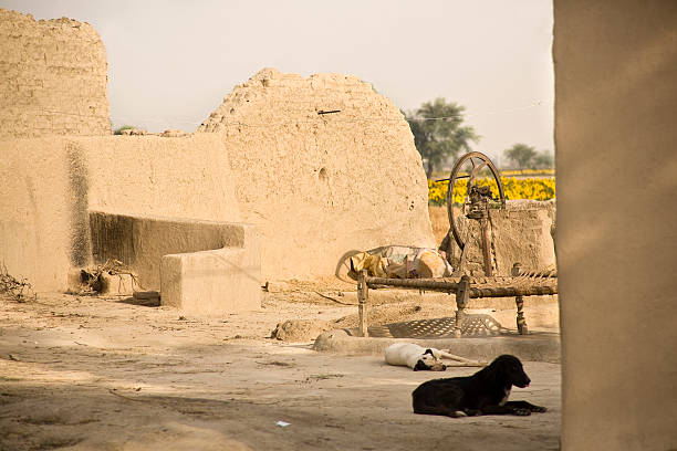 Punjab Village Stock Photos, Pictures & Royalty-Free Images - iStock Punjab Village Stock Photos, Pictures & Royalty-Free Images - iStock