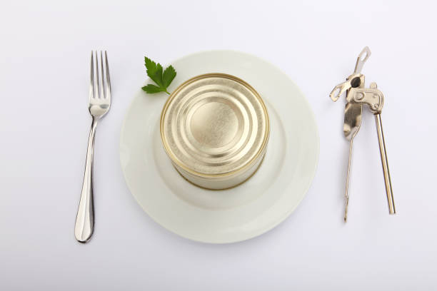 istock fast or junk food from a tin 110936827