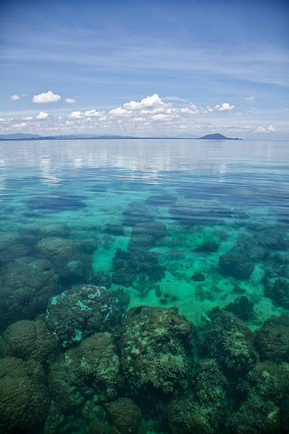 paisagem exótica com recifes de coral - talu island - fotografias e filmes do acervo