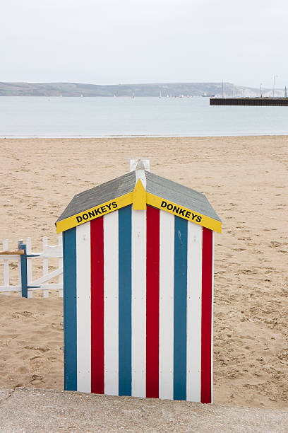 istock Colourful Donkey Ride beach hut on Weymouth Seafront 110938792