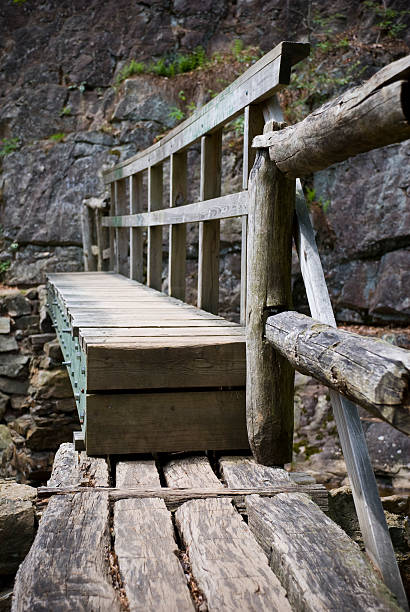 istock Footbridge on the Appalachian Trail 110939823