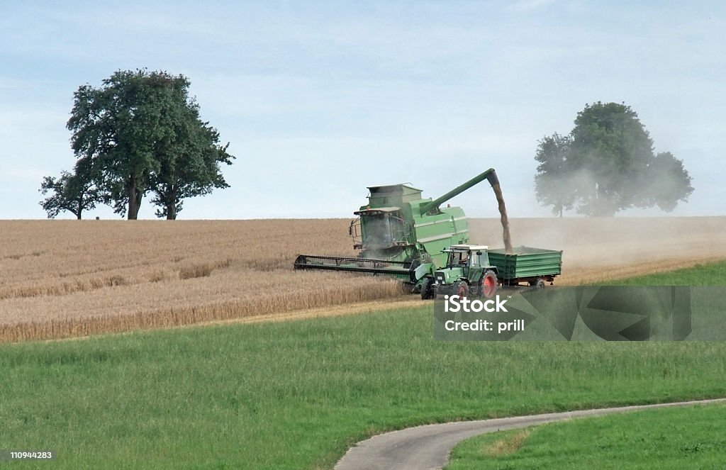 Raccolta harvester su un campo coltivato - Foto stock royalty-free di Agricoltura