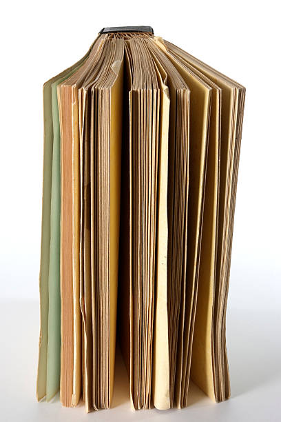 istock Isolated shot of blank aged book on white background 110944768