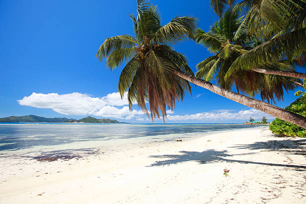istock Perfect beach in Seychelles 110949569