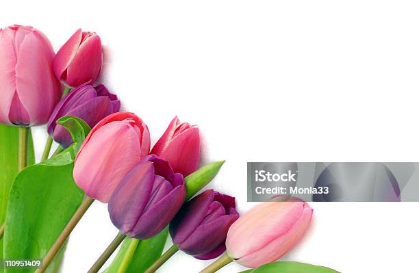 Foto de Tulipas Coloridas e mais fotos de stock de Beleza natural - Natureza - Beleza natural - Natureza, Bouquet, Cabeça da flor