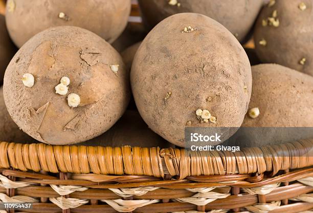 Foto de Raw Batatas Em Cesta De Madeira e mais fotos de stock de Alimentação Saudável - Alimentação Saudável, Amontoamento, Batata - Tubérculo